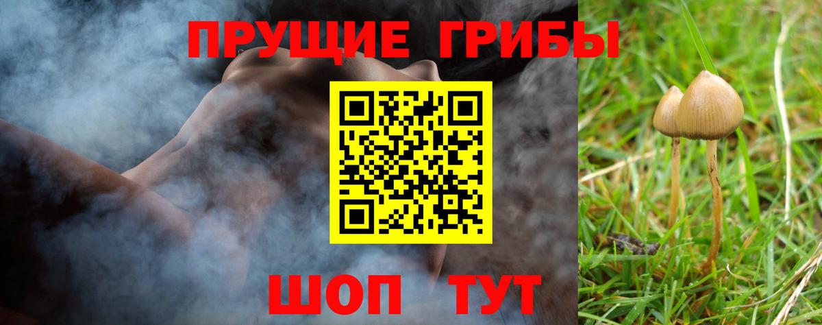 Галлюциногенные грибы мухоморы Владимир